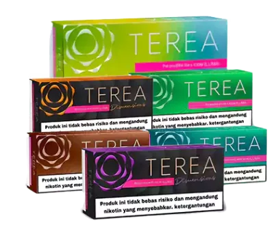 Iqos terea all version and flavour