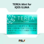 Buy IQOS Terea Mint for iqos iluma Device in Ajman