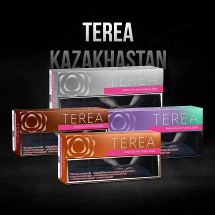 Terea kazakhstan