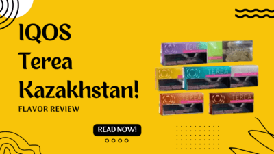 IQOS Terea Kazakhstan Flavor Review in Dubai