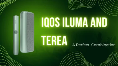 IQOS ILUMA device compatible with TEREA tobacco sticks using induction heating for a smoke-free vaping experience in UAE