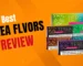 Best TEREA Flavors for IQOS ILUMA A Guide