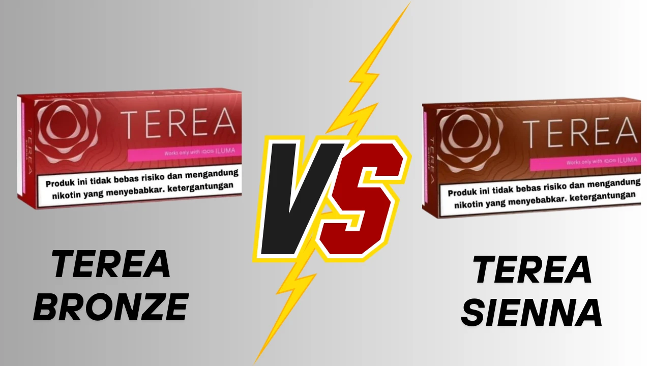 TEREA Bronze vs TEREA Sienna: Guide for Tobacco Fans Terea bronze vs Terea Sienna