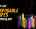 Why are disposable vapes so popular in Dubai?