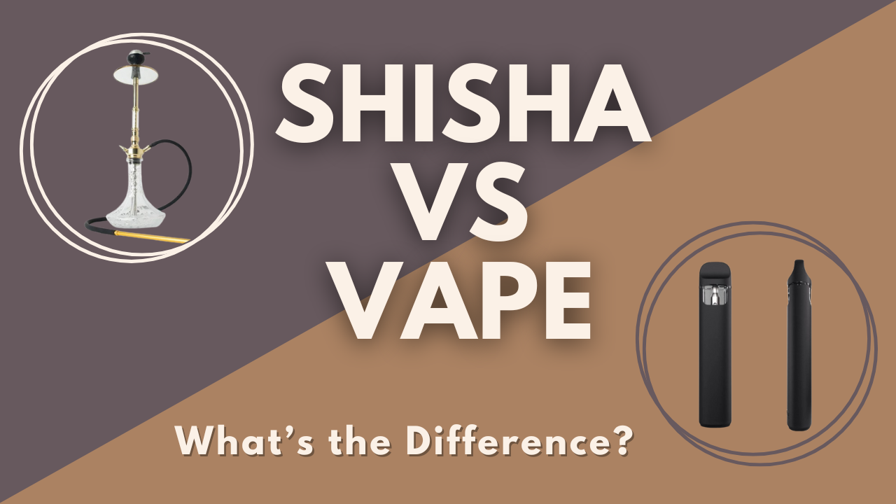 Shisha vs. Vape: What’s the Difference? Shisha vs. Vape: What’s the Difference?