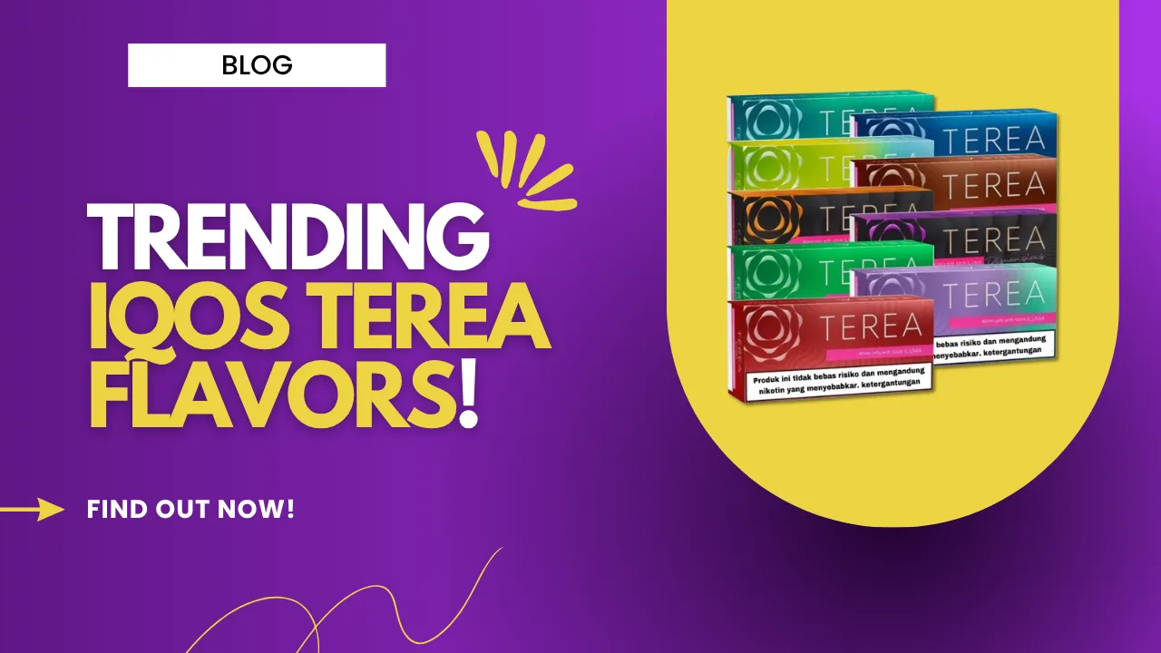 Which TEREA Flavors Are Trending in the UAE?