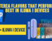 Best TEREA Sticks for Smooth ILUMA i Sessions UAE