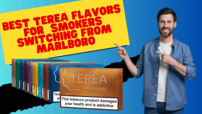 Top TEREA Flavors for Marlboro Switchers UAE