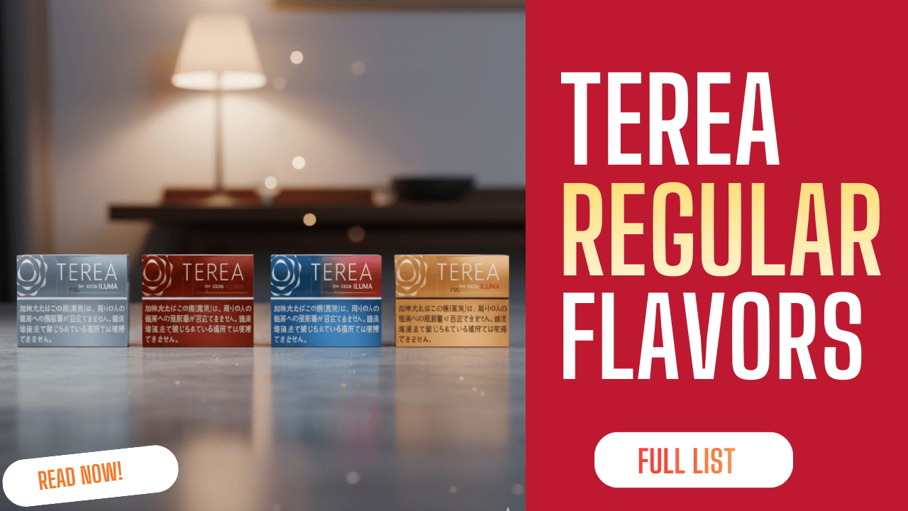 TEREA Regular Flavors Collection in UAE: Complete Guide for Tourists