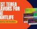 Top TEREA Flavors for Dubai Nightlife