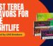 Top TEREA Flavors for Dubai Nightlife