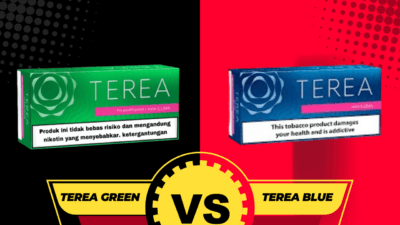 TEREA Blue vs TEREA Green for IQOS: UAE Menthol Flavor Guide
