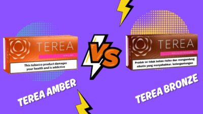 TEREA Bronze vs Amber: Full UAE Comparison Guide